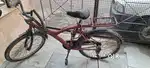 5 year old cycle