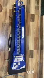 Banjo best condition