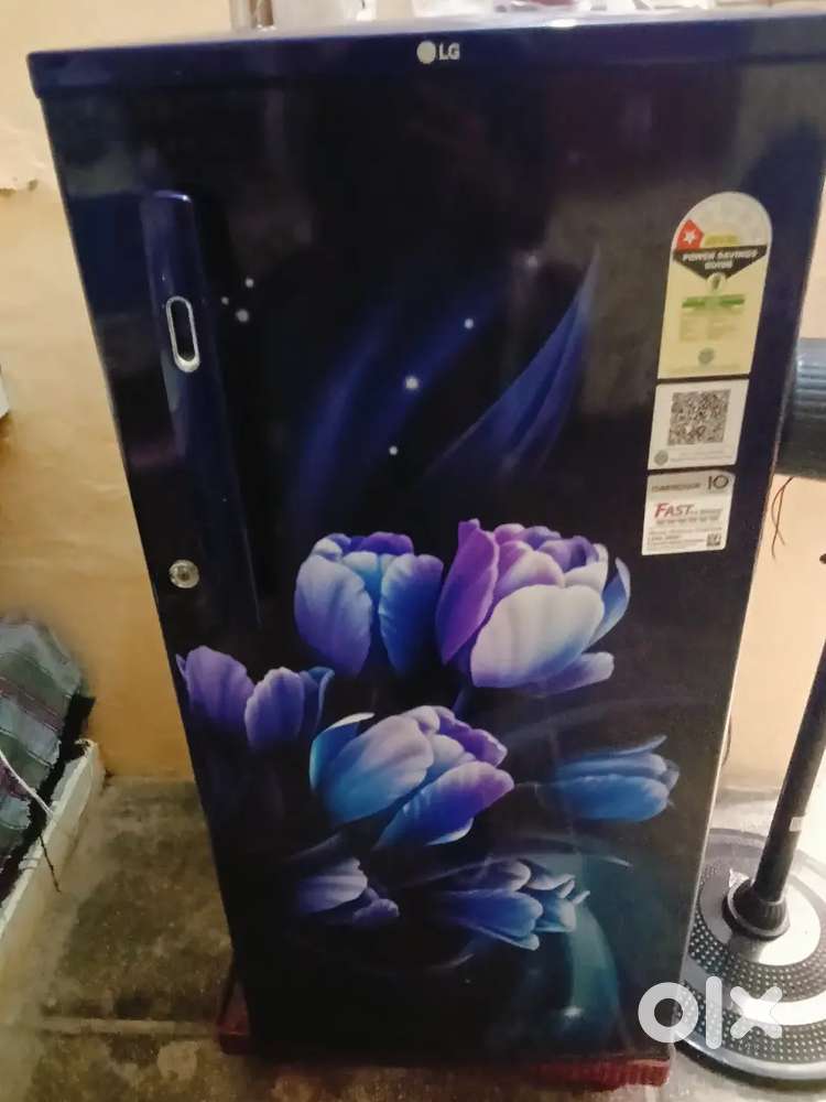 LG Fridge Blue Color 10000/-