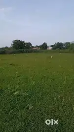 REAL ESTATE