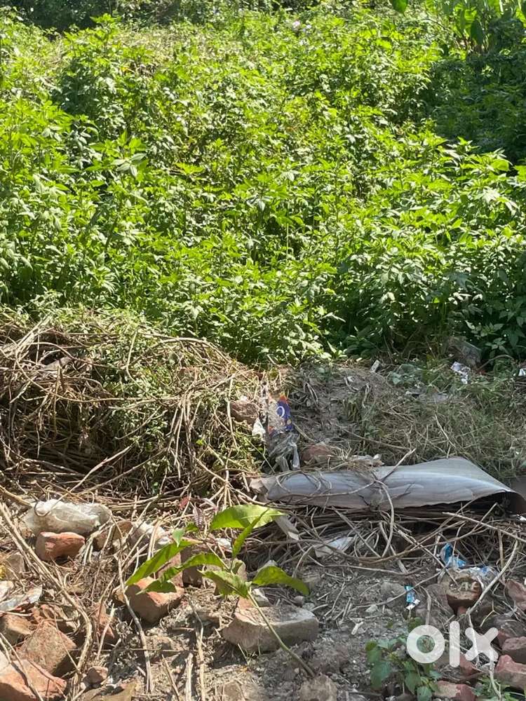 32*52(185 gaj) plot for sale near surkanda Devi Mandir pathribag chowk