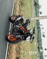 Duke 250 for sale
