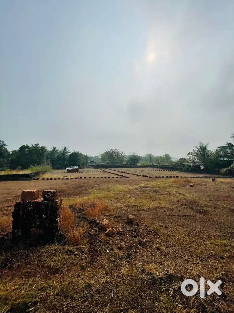 8,10,12,14 സെൻ്റ് വീതമുള്ള പ്ലോട്ടുകൾ വില്പനയ്ക്ക്