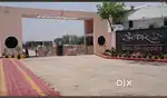 YOUR DREAM COME TRUE
