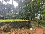 Plot for sale KTCT kallambalam