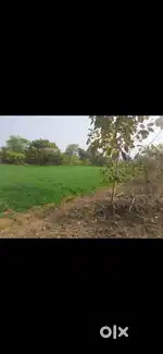 Sell 5.5acre land bijli pani ghar sahit
