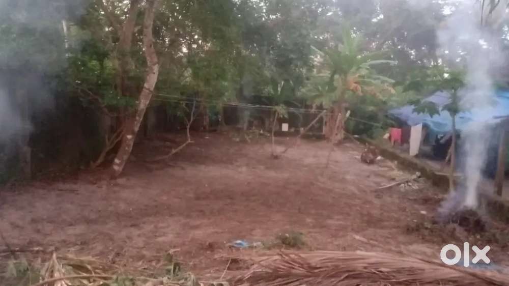 4 cent plot for sale in ,Cherthala 11th mile Near bhajanamadam .