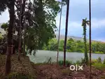 Riverfront Plot. And Beautiful View of Periyar River and Mountains