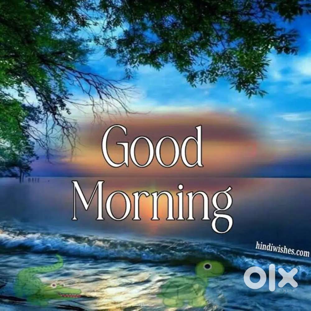 Room available for bachelors