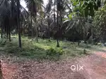 28 cent plot for sale in manal