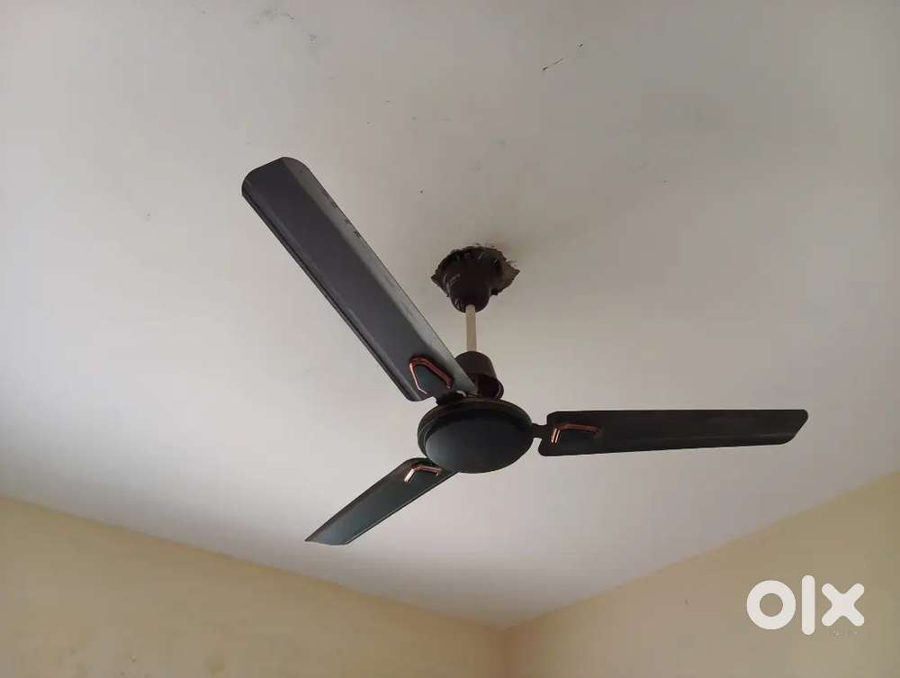 Ceiling fan