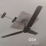 Working Ceiling fan brown colour