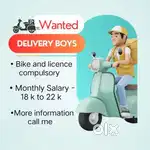 Wanted Delivery Boy - Hinjewadi