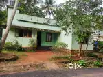 8 cent premium plot for sale near muriamangalam. 3.80/cent.