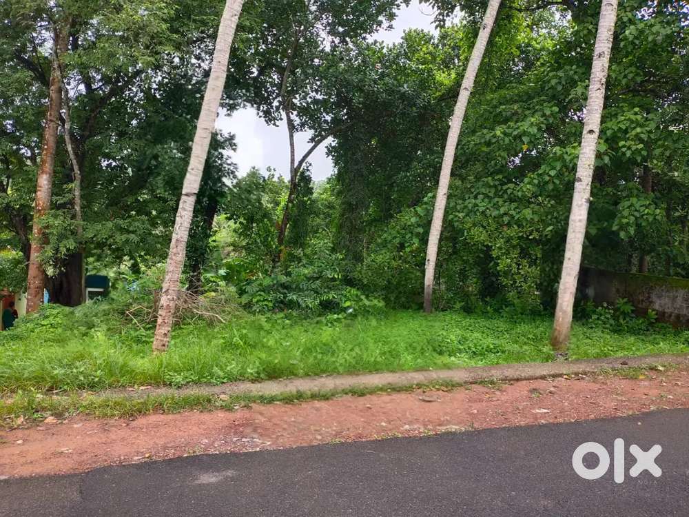 Varkala cherunniyoor