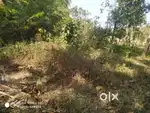 10 cent plot for sale @ kallumpuram