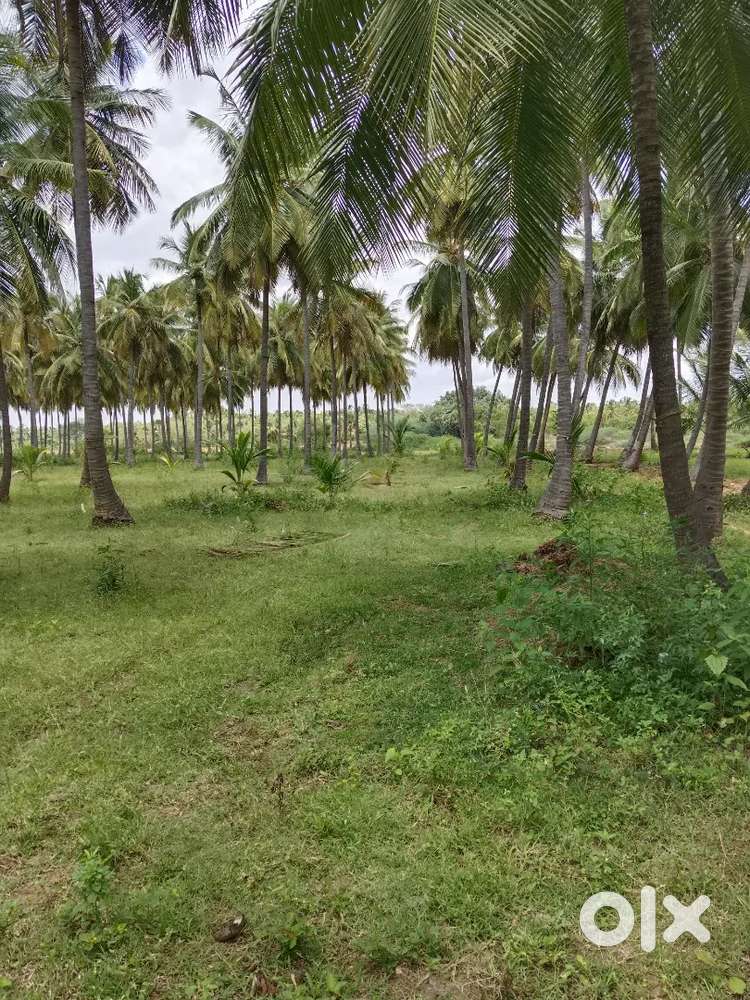 Agricultural land for sale
