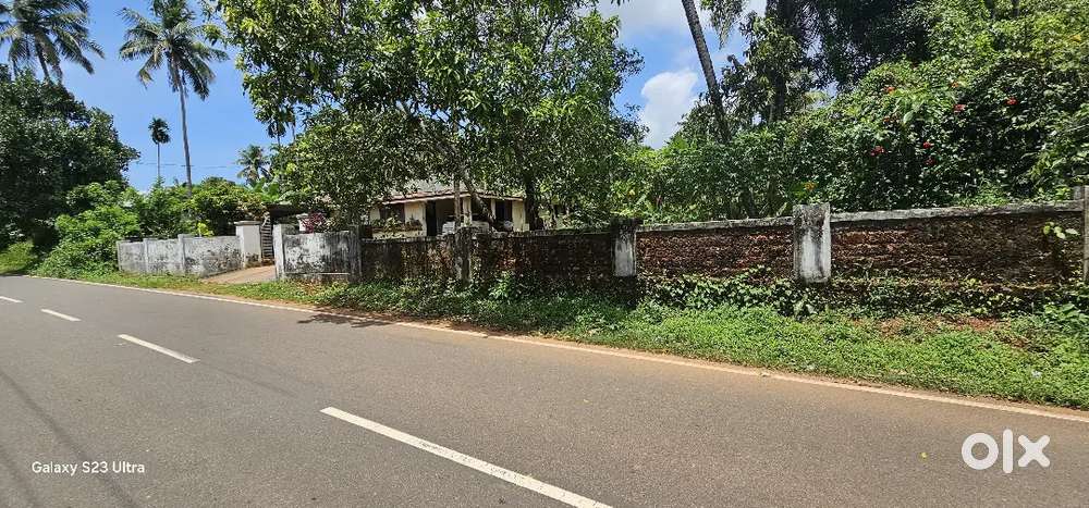 18 cent rectangular plot main road front for sale