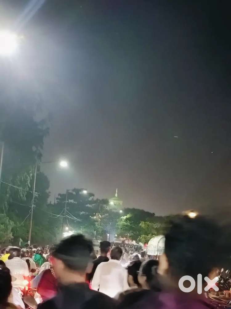 Need female roommates