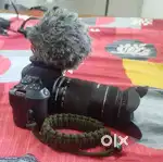 Canon EOS 200d mark2