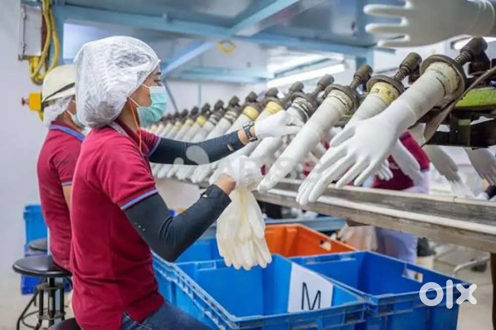 Wanted packing staffs [ male / female ]