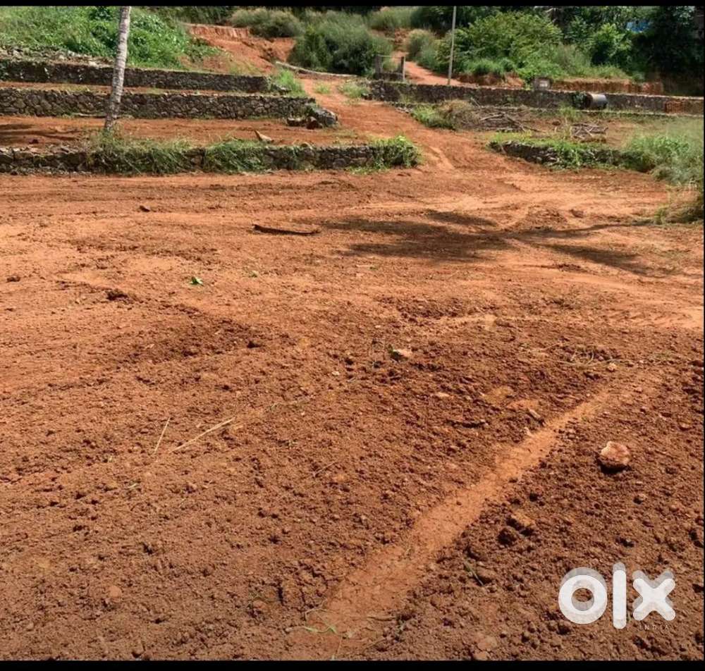 മുളന്ത്തുരുത്തി വെട്ടിക്കൽ കുറഞ്ഞ വിലയിൽ സ്ഥലം വില്പനയ്ക്കു