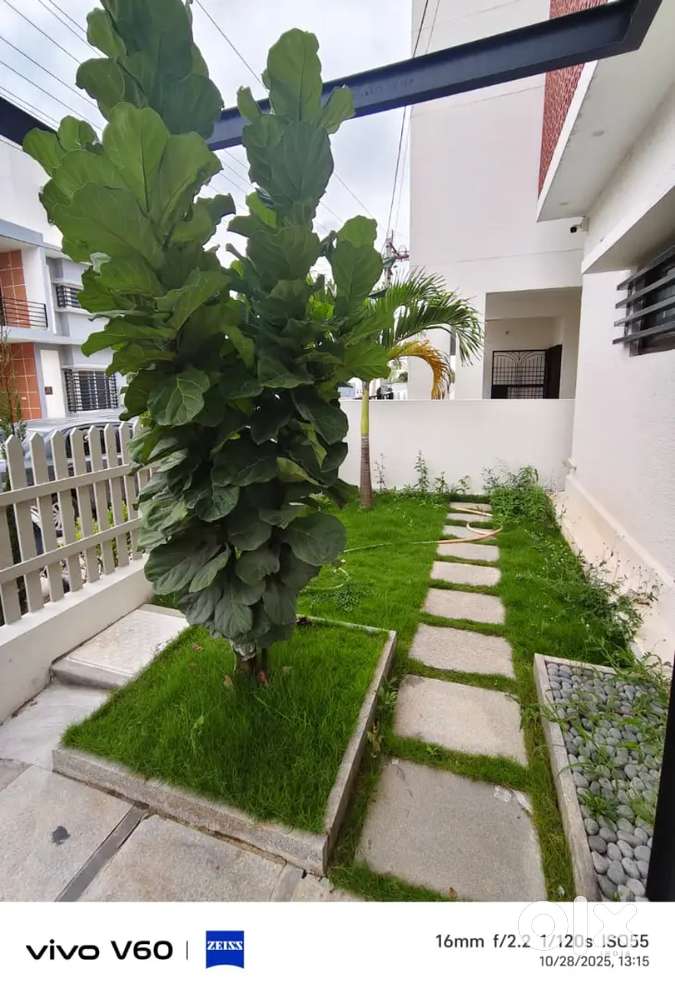 Gatat cumnit 80/ft gate 40/ft Road 24/7 water purifier park fanzn Hall