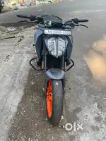 Duke 250 2023
