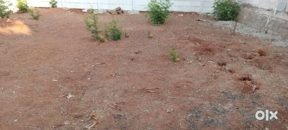 200 sq:yd open plot for sale iin near to rampally main road