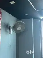 Table/wall fan