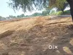 100 gaj ka plot