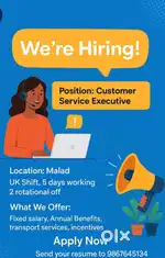 Customer Service Executive