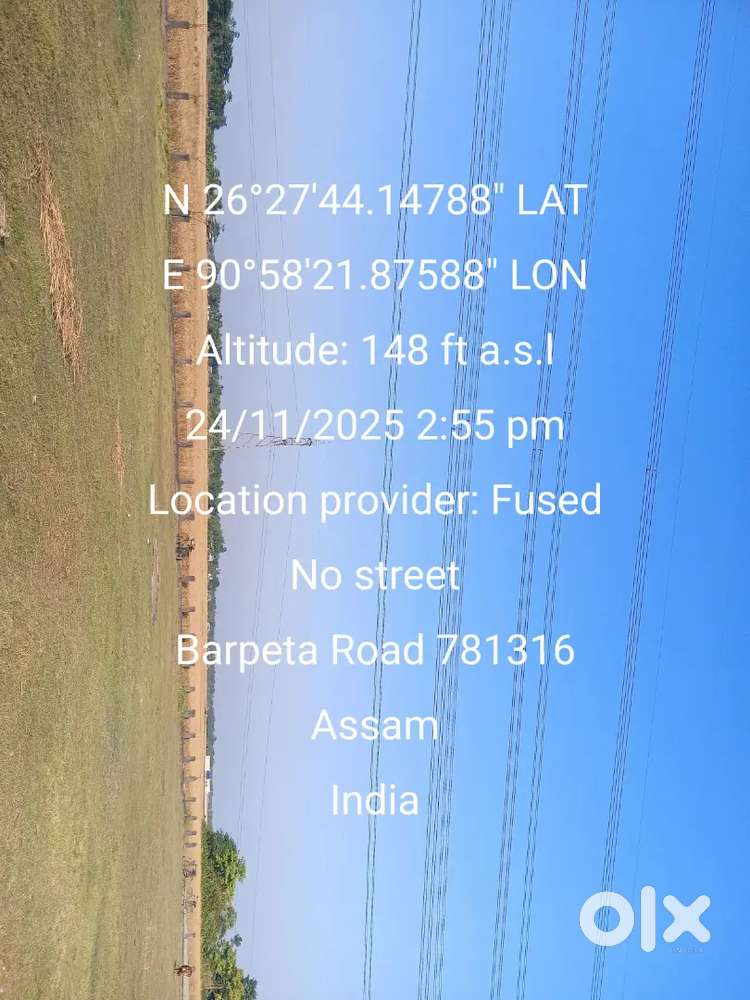 For sale whole 3.5 bigha land