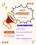 Sales Executive in Calicut District