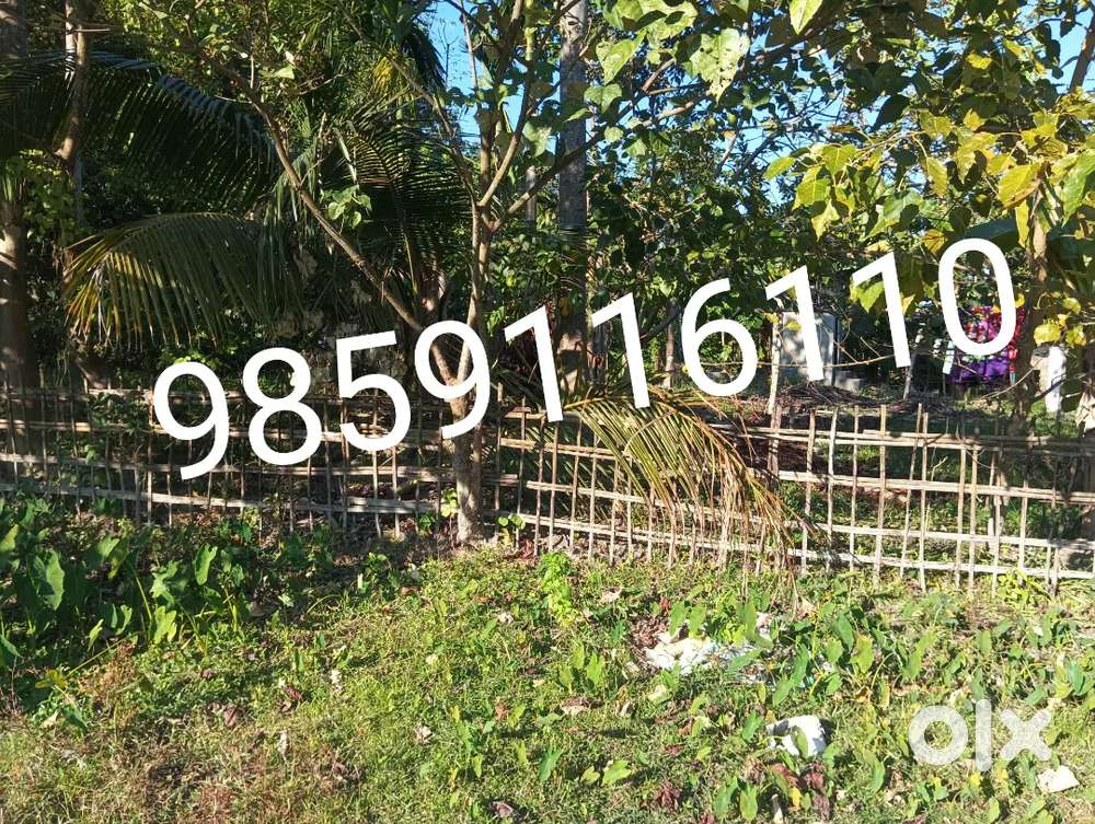 3 Bigha Sale kara hoba Ba par katha loba pariba