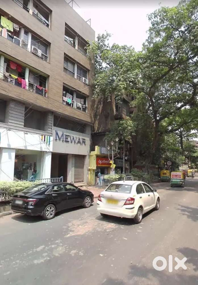New Alipore Rent: Flat  / Shop / Office all types available