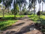 5,6,7 cent/6.25 lakh per cent –   Kolazhy    Thrissur
