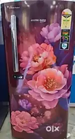 New new new fridge