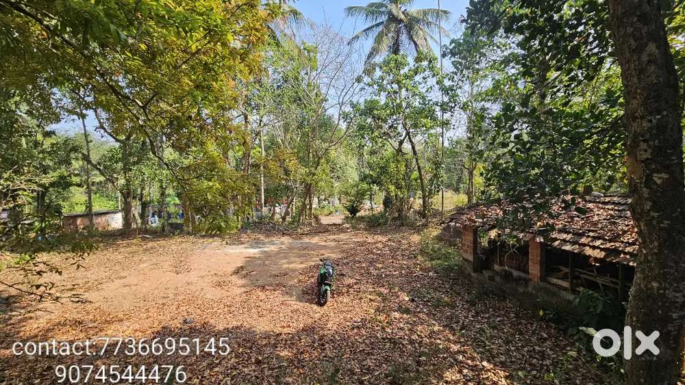 Residential Land for Sale – 28.5 Cent Plot at Kuttiyatoor, Kararamba