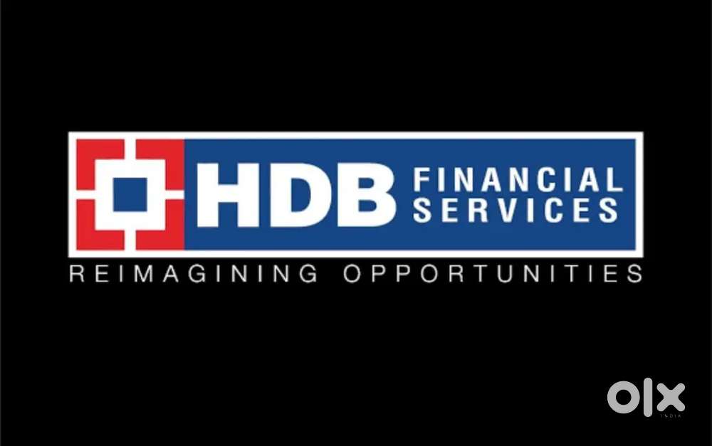 HDB FINANCIAL SERVICES LTD