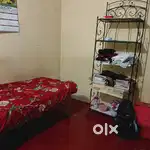 Female roommate needed