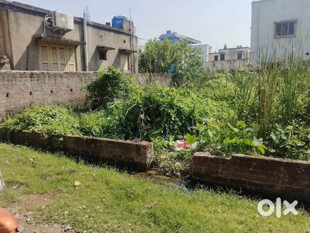 Patta land  for sale near Calcutta public School in Mukundapur