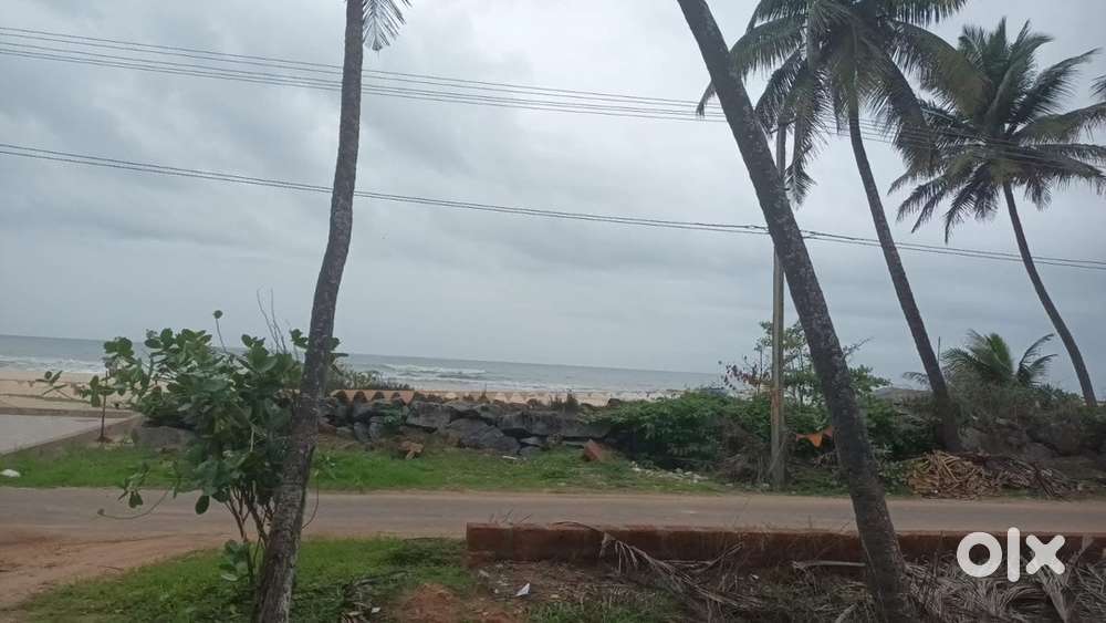 50 cents Beach property