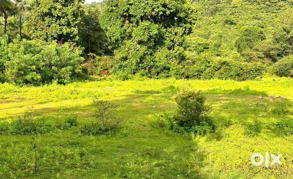 10Gunta NA land at halekot near karwar railway station