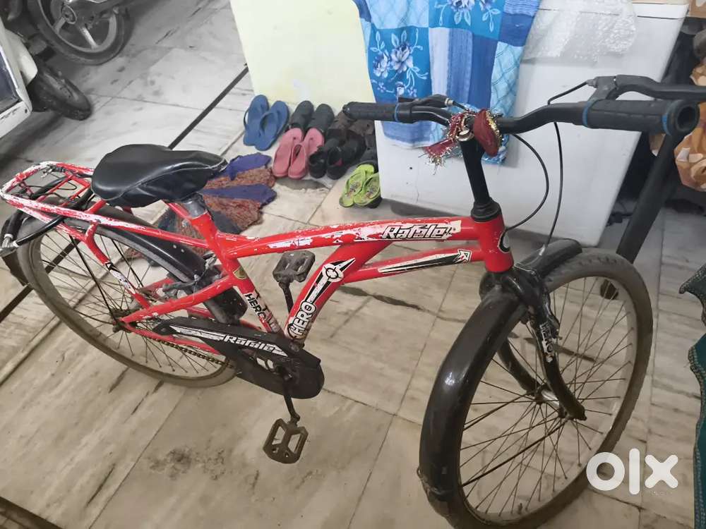 My cycle 2 years old