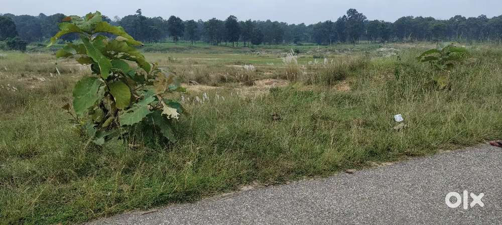 Tonko hatia tupudana