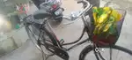 Chalane wala koi nahi hai