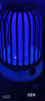 Usb operated mosquito killer Lamp
