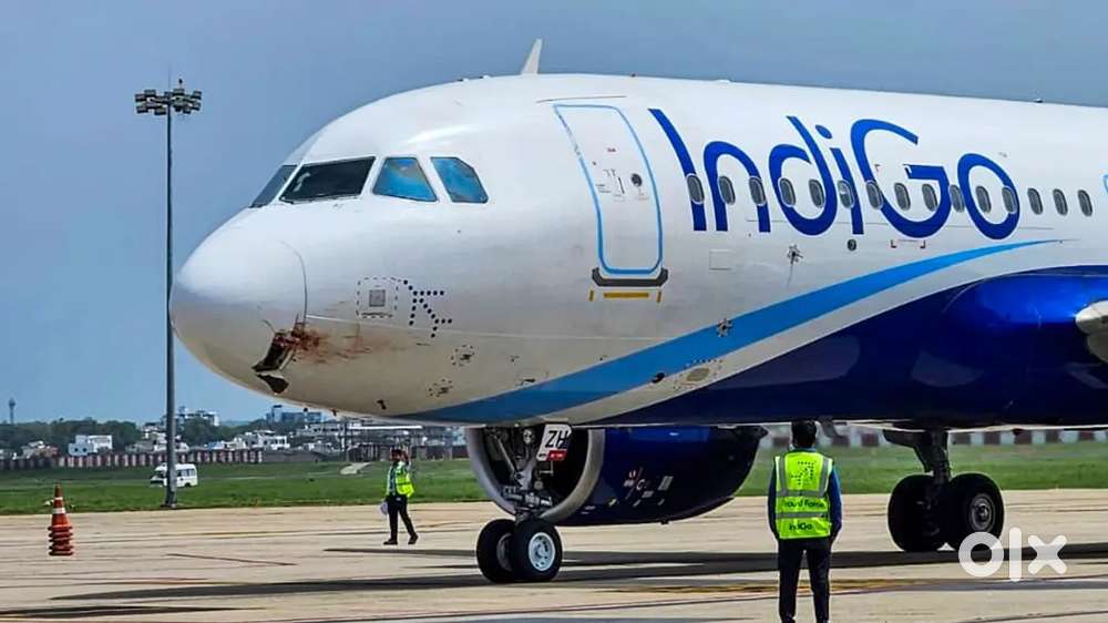 All India based jobs in indigo Airlines apply fast