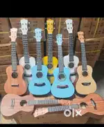 Guitar, vocal, piano, flute, Hip Hop, kathak, dance, fitness, zumba.